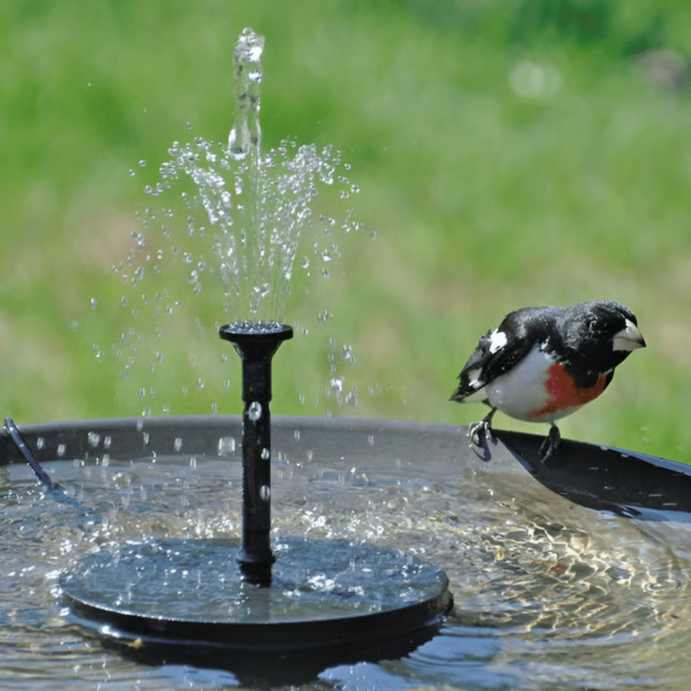 Solar Powered Bird Bath Fountain™️