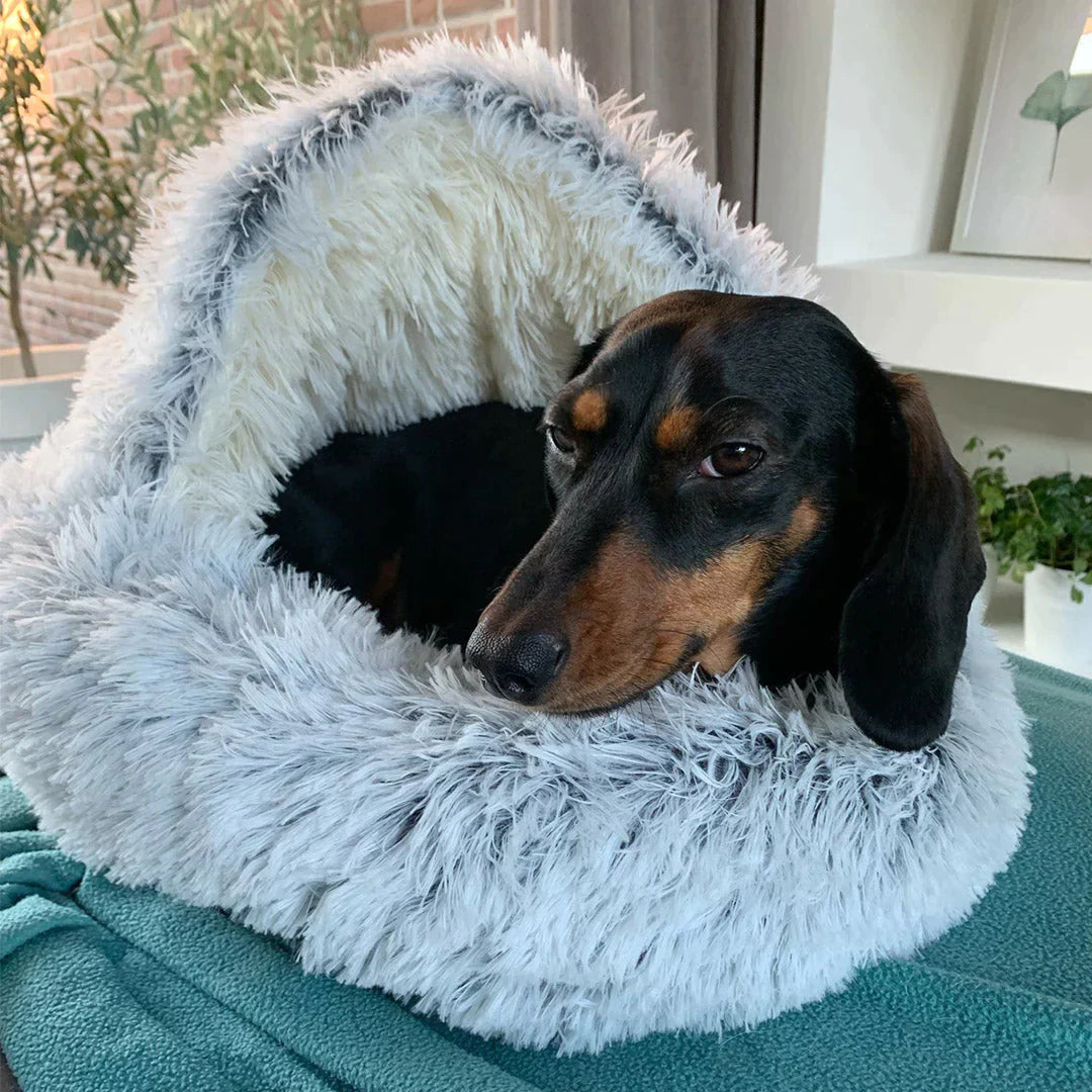 Comfy Pet Bed - Loved by Many Pets and Their Owners!